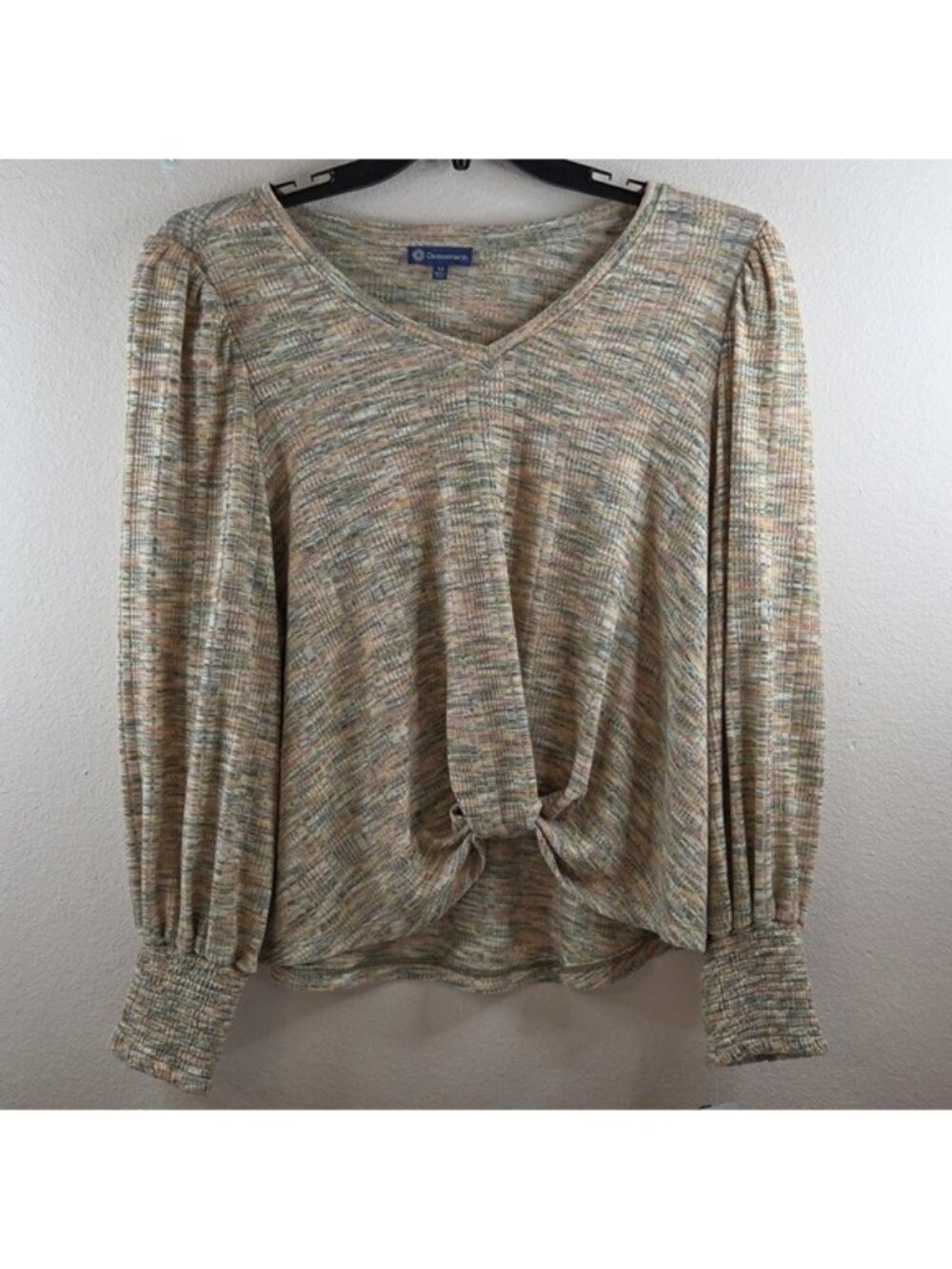 NWT 1X Golden Barely Multi Pull On Vneck Top Muted Inviting Twist Hem